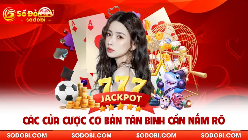 Các cửa cược cơ bản tân binh cần nắm rõ