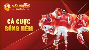 cá cược bóng ném