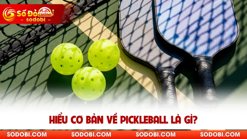 Hiểu cơ bản về Pickleball là gì?