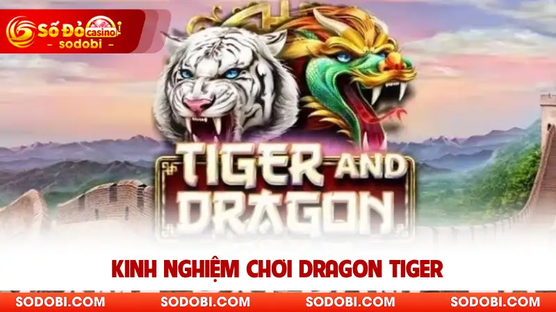 Kinh nghiệm chơi Dragon Tiger