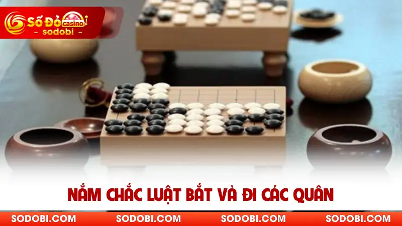 Nắm chắc luật bắt và đi các quân