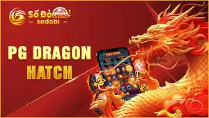 PG Dragon Hatch