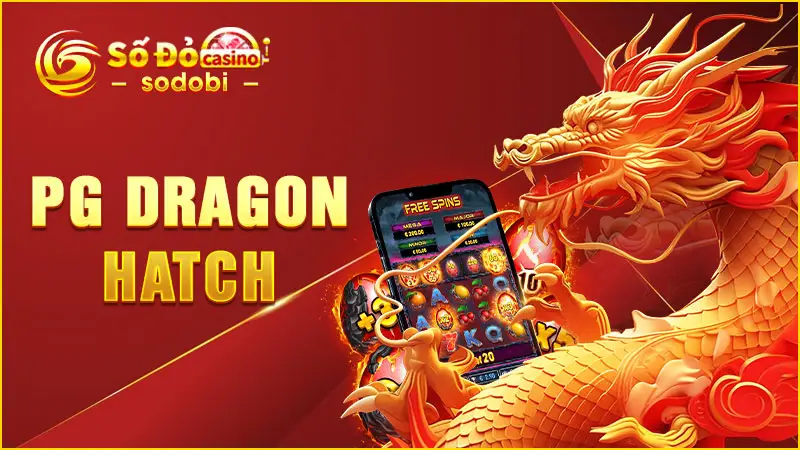 PG Dragon Hatch