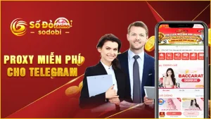 Proxy miễn phí cho Telegram
