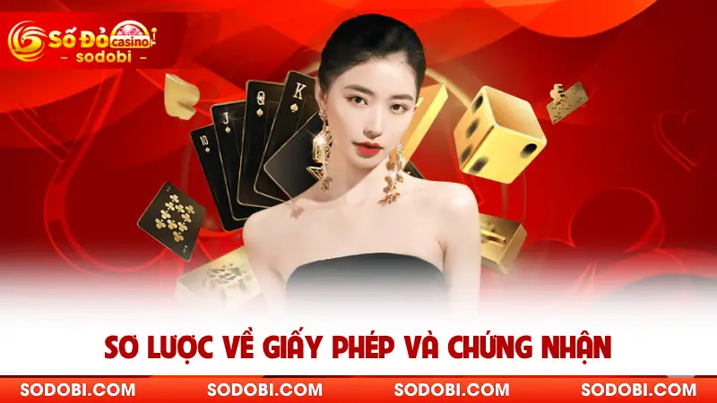 Sơ lược về giấy phép và chứng nhận