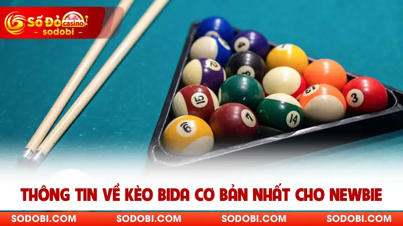 Thông tin về kèo bida cơ bản nhất cho newbie