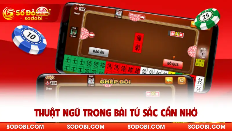 Thuật ngữ trong bài Tứ Sắc cần nhớ